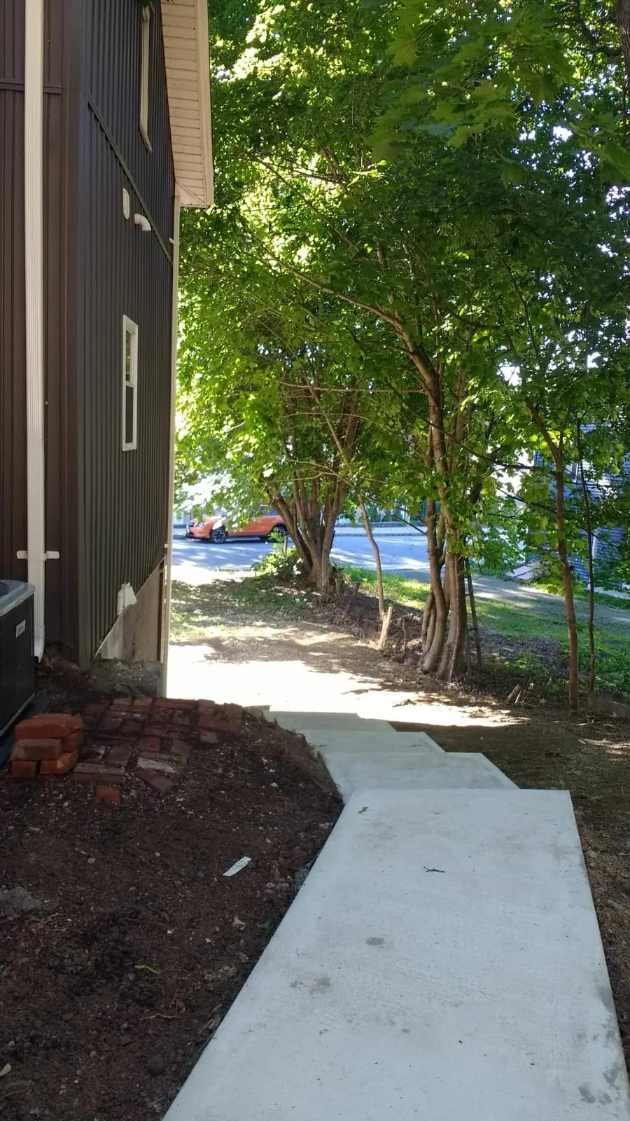 Concrete path alongside the house and nearby planting